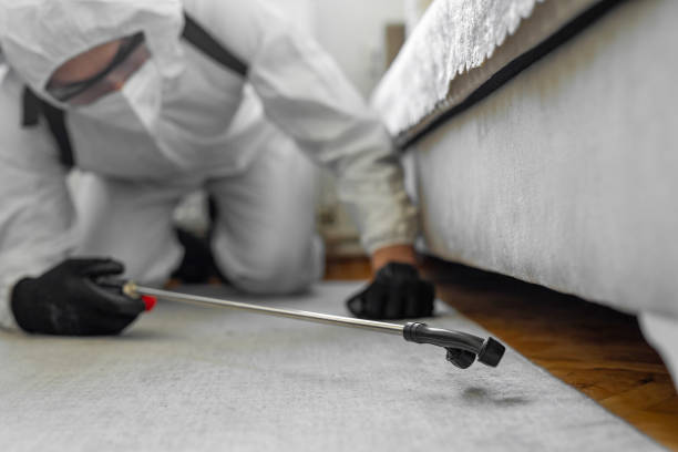Professional Bed Bug Control technician working in Frankfort, MI
